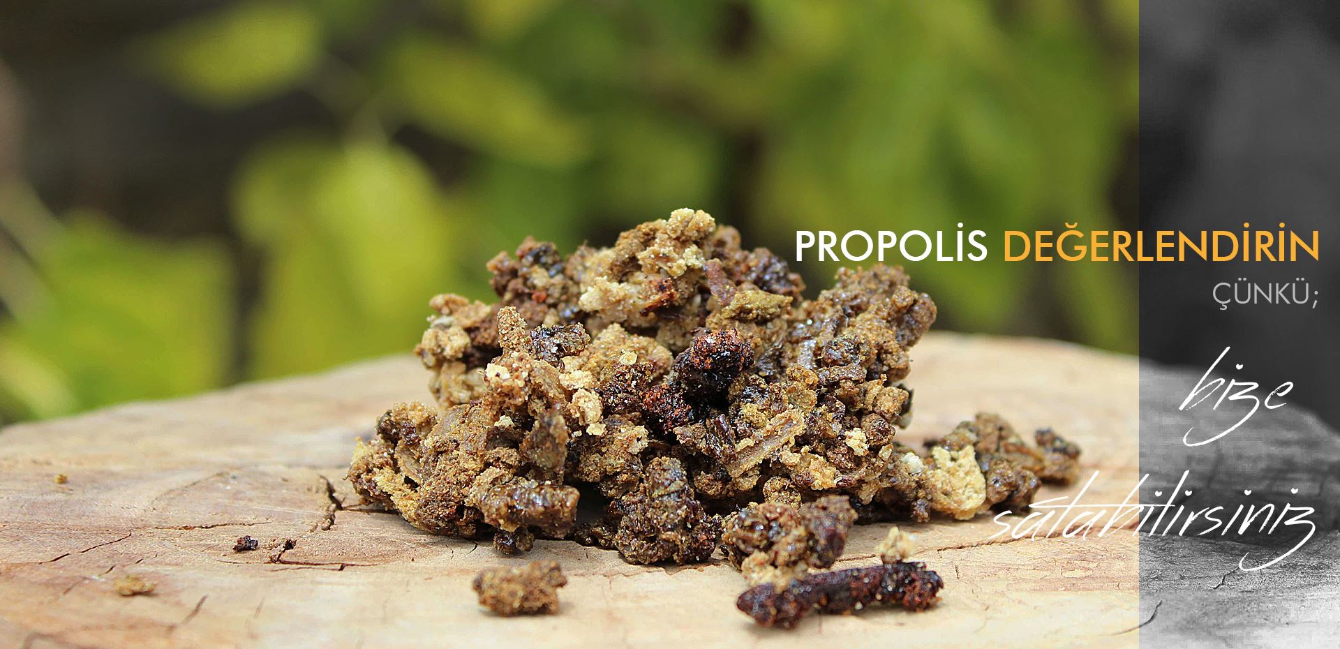 PROPOLİS DEĞERLENDİRİN