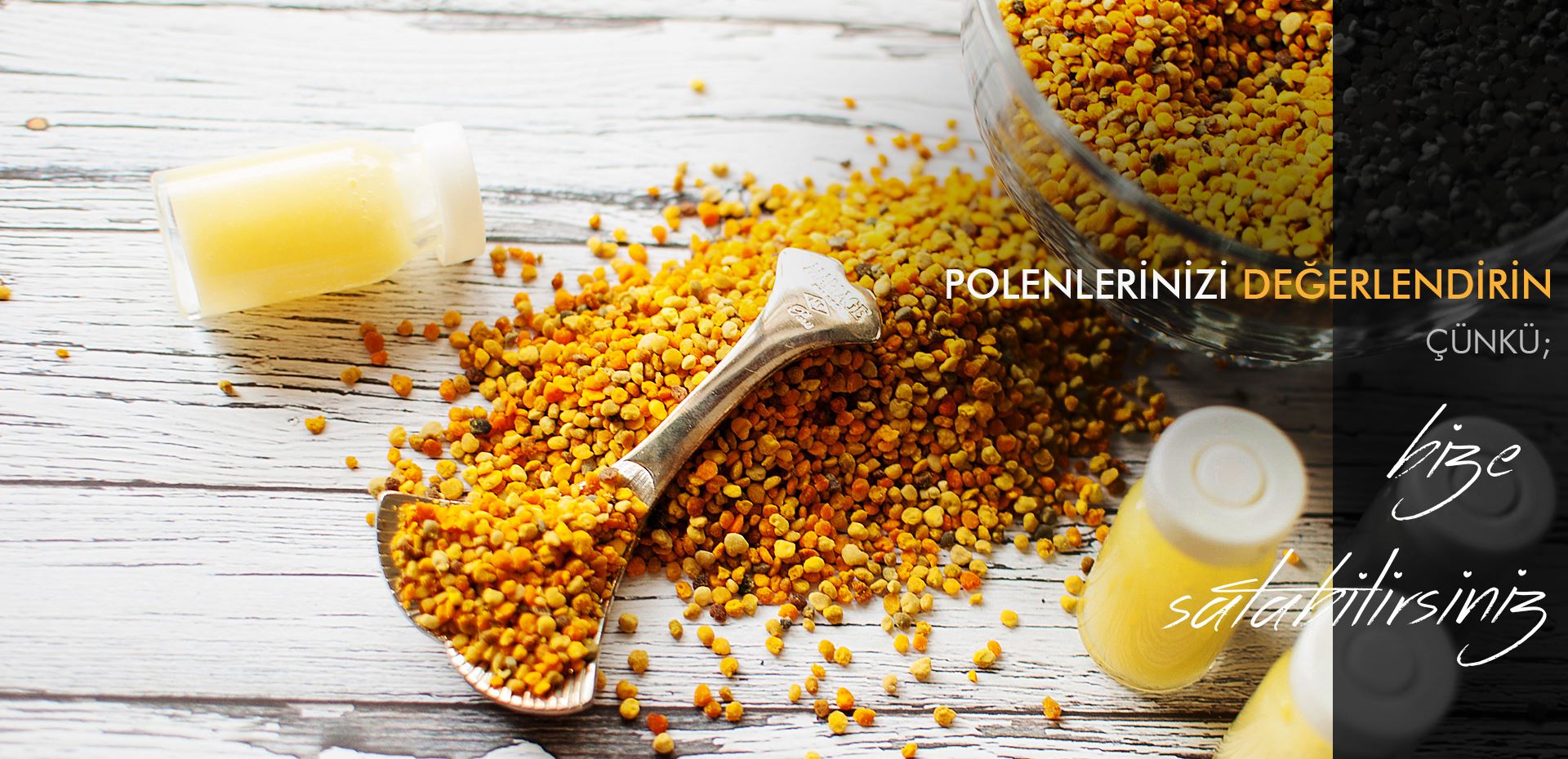 POLENLERİNİZİ DEĞERLENDİRİN