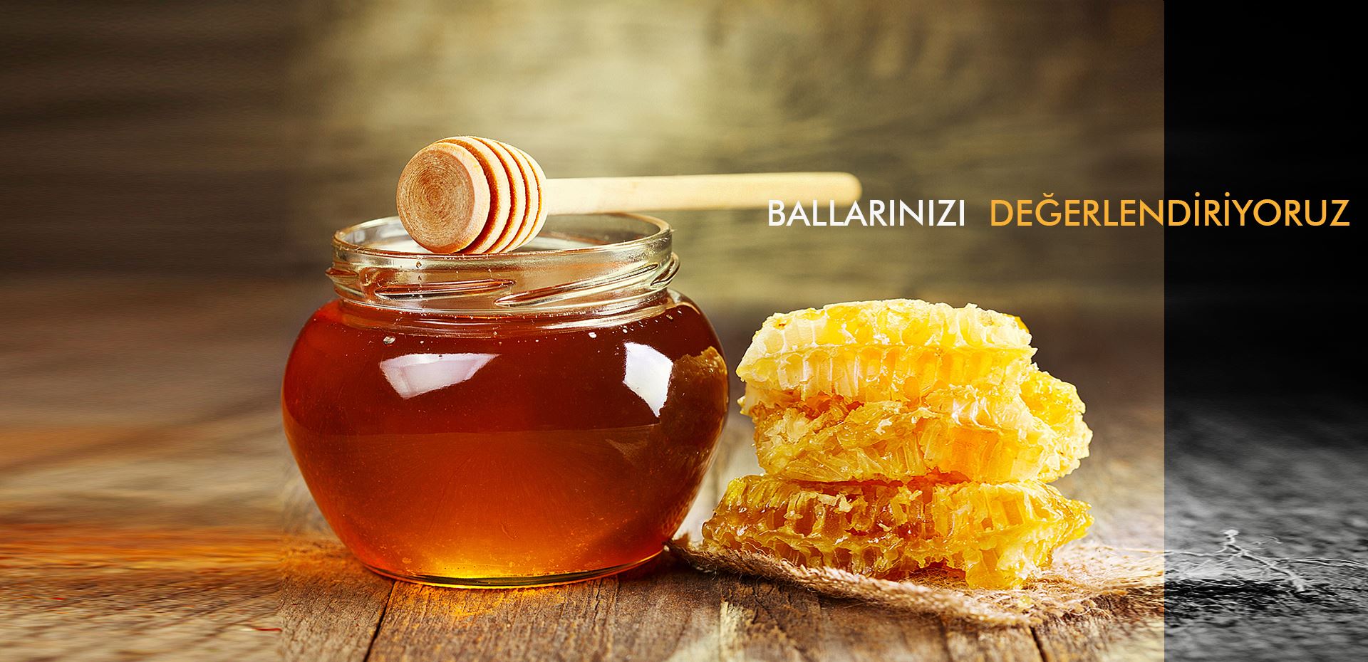 BALLARINIZI DEĞERLENDİRİYORUZ