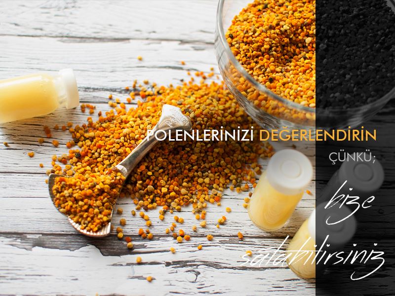 POLENLERİNİZİ DEĞERLENDİRİN