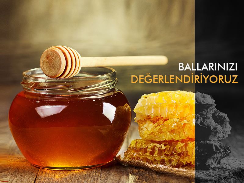 BALLARINIZI DEĞERLENDİRİYORUZ